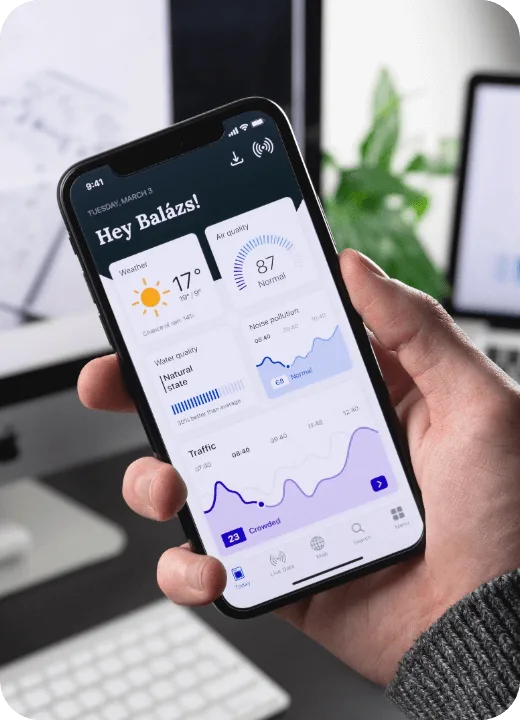 App/System Developmen